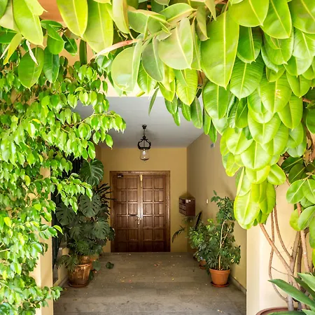 Apartamento Amparo Cinco Córdoba